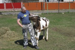 Зверюшки